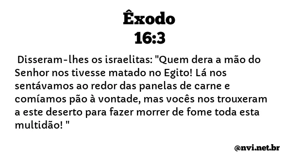 ÊXODO 16:3 NVI NOVA VERSÃO INTERNACIONAL