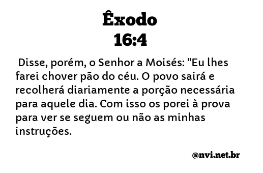 ÊXODO 16:4 NVI NOVA VERSÃO INTERNACIONAL