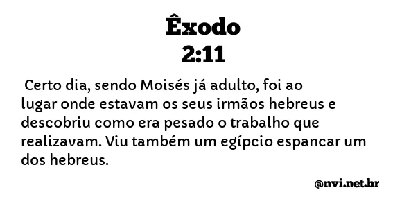 ÊXODO 2:11 NVI NOVA VERSÃO INTERNACIONAL