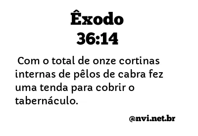 ÊXODO 36:14 NVI NOVA VERSÃO INTERNACIONAL