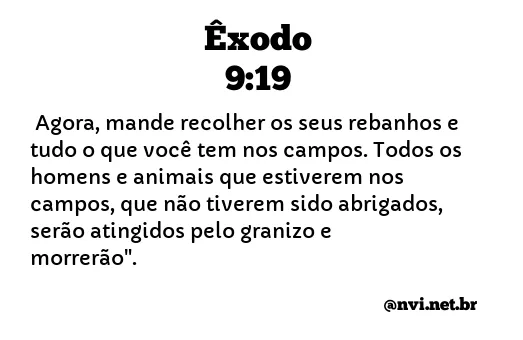 ÊXODO 9:19 NVI NOVA VERSÃO INTERNACIONAL