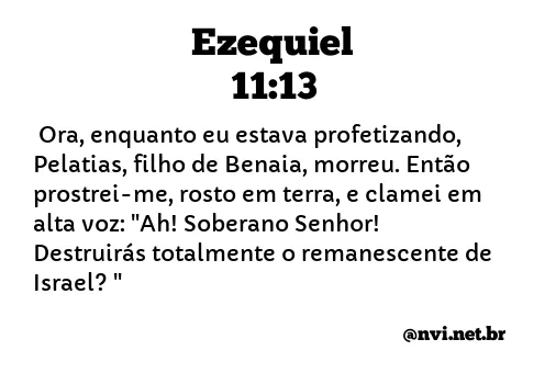 EZEQUIEL 11:13 NVI NOVA VERSÃO INTERNACIONAL