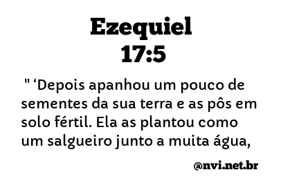 EZEQUIEL 17:5 NVI NOVA VERSÃO INTERNACIONAL