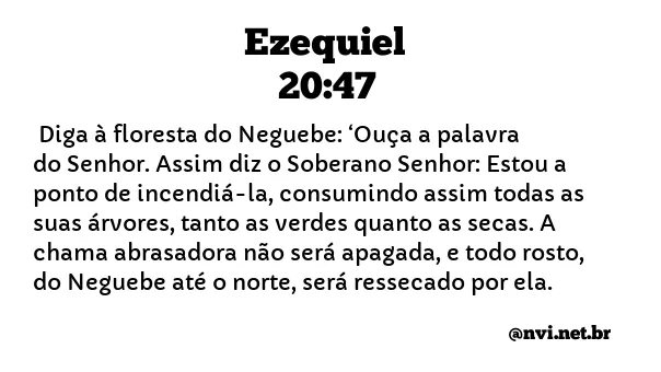 EZEQUIEL 20:47 NVI NOVA VERSÃO INTERNACIONAL