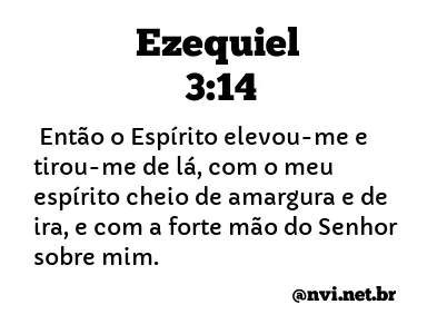 EZEQUIEL 3:14 NVI NOVA VERSÃO INTERNACIONAL