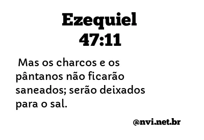 EZEQUIEL 47:11 NVI NOVA VERSÃO INTERNACIONAL