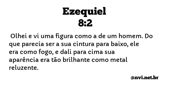 EZEQUIEL 8:2 NVI NOVA VERSÃO INTERNACIONAL