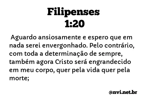 FILIPENSES 1:20 NVI NOVA VERSÃO INTERNACIONAL