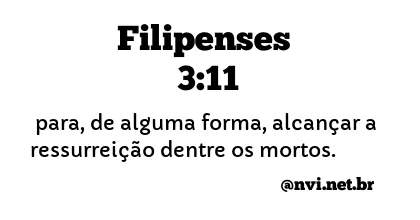 FILIPENSES 3:11 NVI NOVA VERSÃO INTERNACIONAL