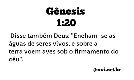 GÊNESIS 1:20 NVI NOVA VERSÃO INTERNACIONAL