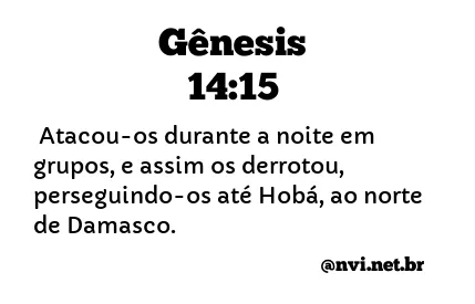 GÊNESIS 14:15 NVI NOVA VERSÃO INTERNACIONAL