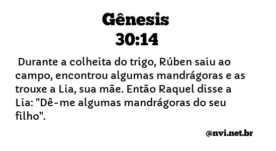 GÊNESIS 30:14 NVI NOVA VERSÃO INTERNACIONAL