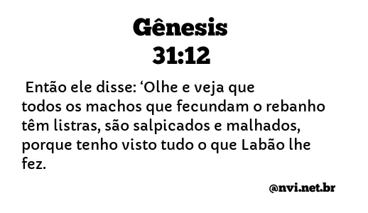 GÊNESIS 31:12 NVI NOVA VERSÃO INTERNACIONAL