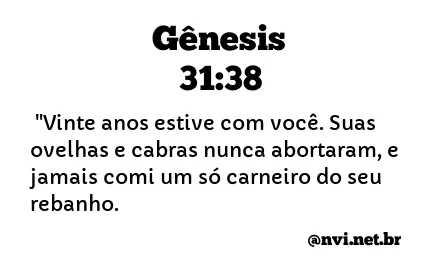 GÊNESIS 31:38 NVI NOVA VERSÃO INTERNACIONAL