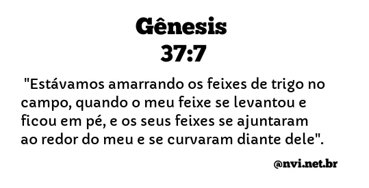 GÊNESIS 37:7 NVI NOVA VERSÃO INTERNACIONAL