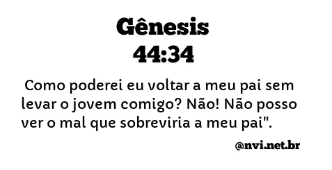 GÊNESIS 44:34 NVI NOVA VERSÃO INTERNACIONAL