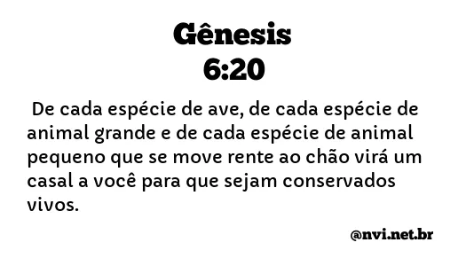 GÊNESIS 6:20 NVI NOVA VERSÃO INTERNACIONAL