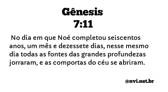 GÊNESIS 7:11 NVI NOVA VERSÃO INTERNACIONAL