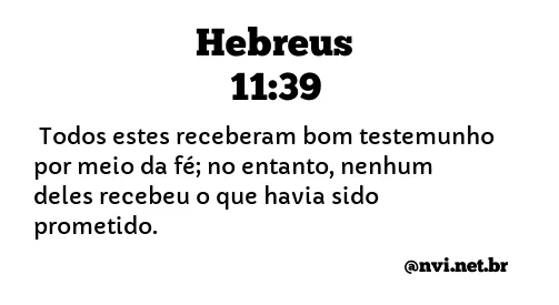 HEBREUS 11:39 NVI NOVA VERSÃO INTERNACIONAL