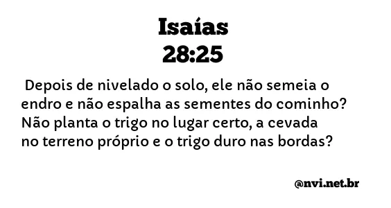 ISAÍAS 28:25 NVI NOVA VERSÃO INTERNACIONAL