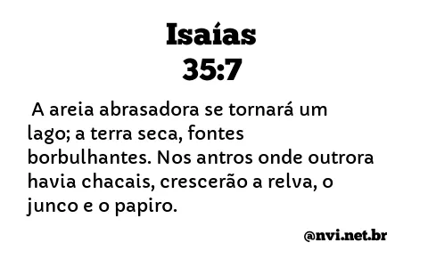 ISAÍAS 35:7 NVI NOVA VERSÃO INTERNACIONAL