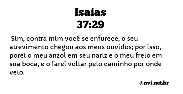 ISAÍAS 37:29 NVI NOVA VERSÃO INTERNACIONAL