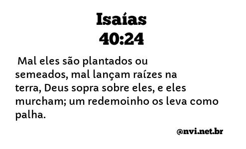 ISAÍAS 40:24 NVI NOVA VERSÃO INTERNACIONAL