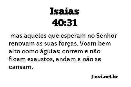 ISAÍAS 40:31 NVI NOVA VERSÃO INTERNACIONAL