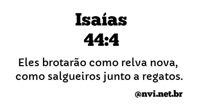 ISAÍAS 44:4 NVI NOVA VERSÃO INTERNACIONAL