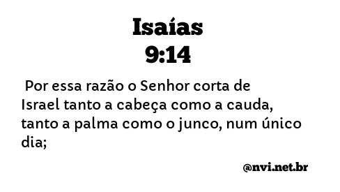 ISAÍAS 9:14 NVI NOVA VERSÃO INTERNACIONAL