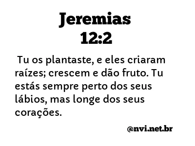 JEREMIAS 12:2 NVI NOVA VERSÃO INTERNACIONAL