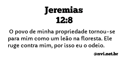 JEREMIAS 12:8 NVI NOVA VERSÃO INTERNACIONAL