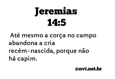 JEREMIAS 14:5 NVI NOVA VERSÃO INTERNACIONAL