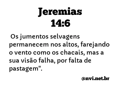 JEREMIAS 14:6 NVI NOVA VERSÃO INTERNACIONAL