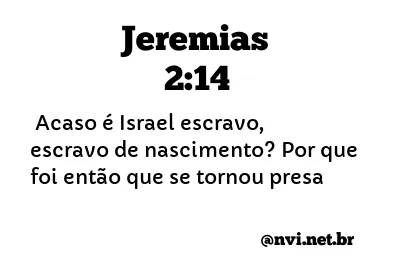 JEREMIAS 2:14 NVI NOVA VERSÃO INTERNACIONAL