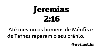 JEREMIAS 2:16 NVI NOVA VERSÃO INTERNACIONAL