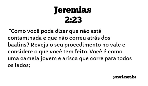 JEREMIAS 2:23 NVI NOVA VERSÃO INTERNACIONAL