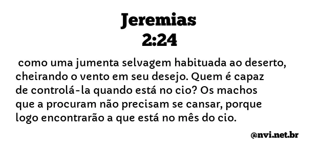 JEREMIAS 2:24 NVI NOVA VERSÃO INTERNACIONAL