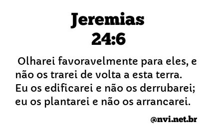 JEREMIAS 24:6 NVI NOVA VERSÃO INTERNACIONAL