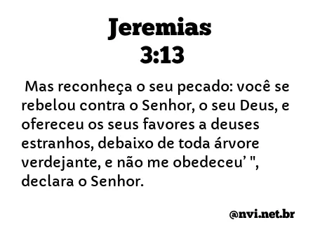 JEREMIAS 3:13 NVI NOVA VERSÃO INTERNACIONAL