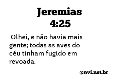 JEREMIAS 4:25 NVI NOVA VERSÃO INTERNACIONAL