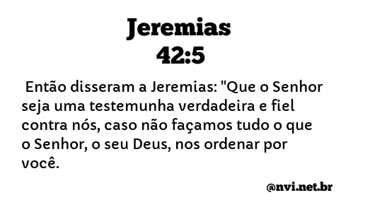 JEREMIAS 42:5 NVI NOVA VERSÃO INTERNACIONAL