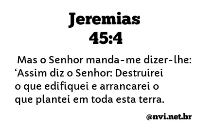 JEREMIAS 45:4 NVI NOVA VERSÃO INTERNACIONAL