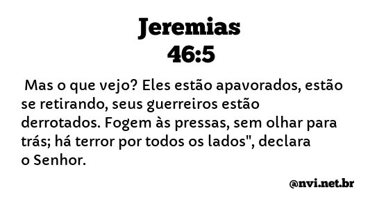 JEREMIAS 46:5 NVI NOVA VERSÃO INTERNACIONAL