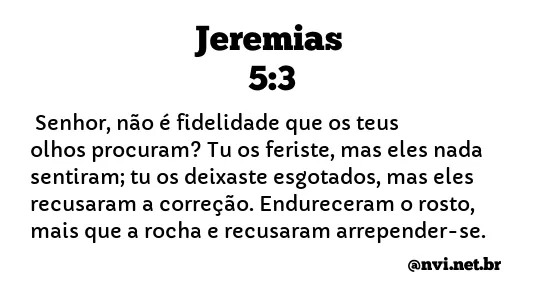 JEREMIAS 5:3 NVI NOVA VERSÃO INTERNACIONAL