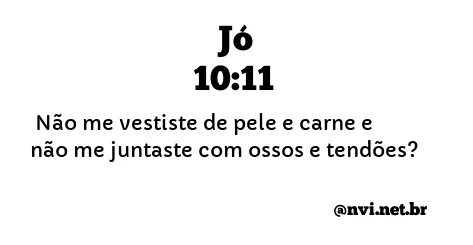 JÓ 10:11 NVI NOVA VERSÃO INTERNACIONAL