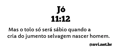 JÓ 11:12 NVI NOVA VERSÃO INTERNACIONAL