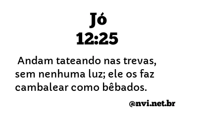 JÓ 12:25 NVI NOVA VERSÃO INTERNACIONAL