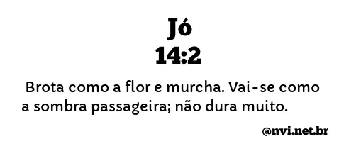 JÓ 14:2 NVI NOVA VERSÃO INTERNACIONAL