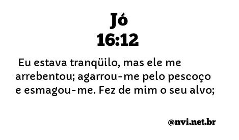 JÓ 16:12 NVI NOVA VERSÃO INTERNACIONAL